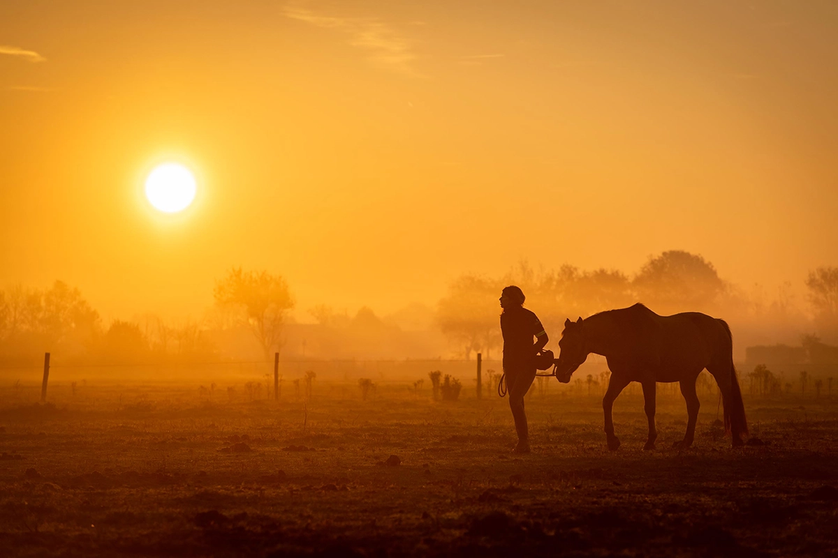 Femme promenant son cheval - Découvrez les chevaux Henson.