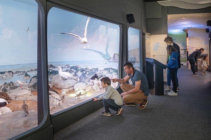 Enfant et son père regardant la nature - Découvrez la Maison de la Baie de Somme.