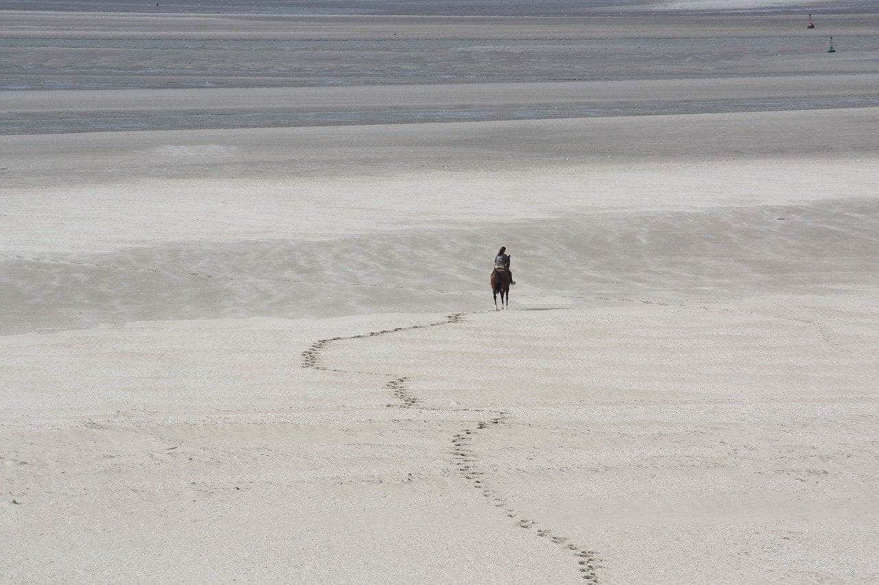 Cheval sur la plage - Découvrez les plages de sables et de galets de la Baie de somme.