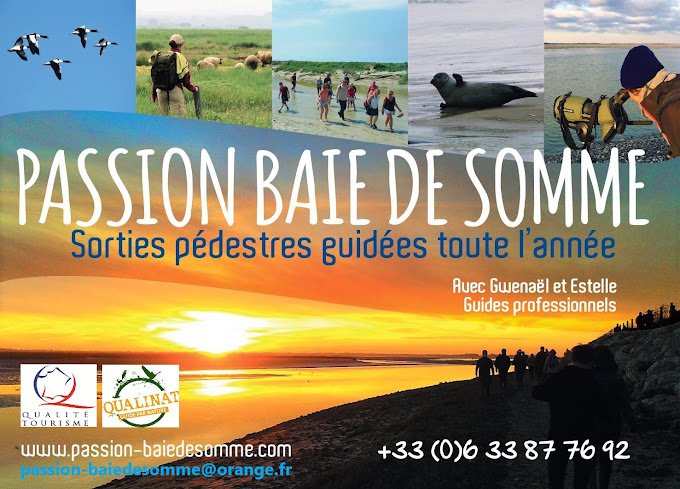 Sorties nature en Baie de Somme